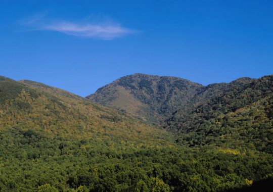 Safari au parc des Monts Mahale : une aventure inoubliable