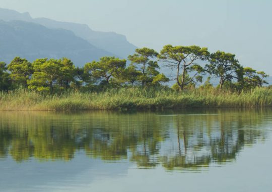 Faire un safari sur l&rsquo;&icirc;le Rubondo : une aventure unique