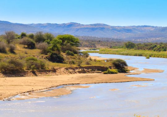 D&eacute;couvrez l&rsquo;exp&eacute;rience unique d&rsquo;un safari dans la r&eacute;serve de Selous
