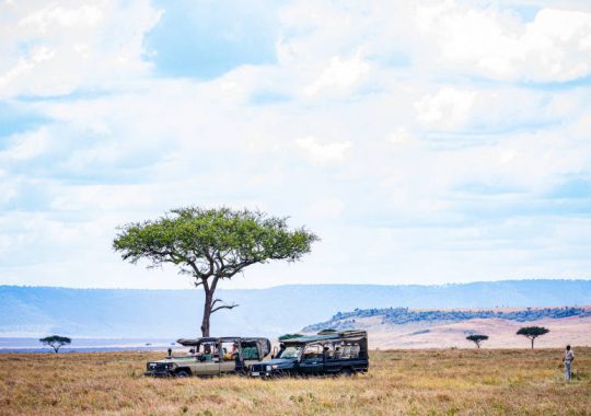 Participer &agrave; un safari dans le parc de Mkomazi